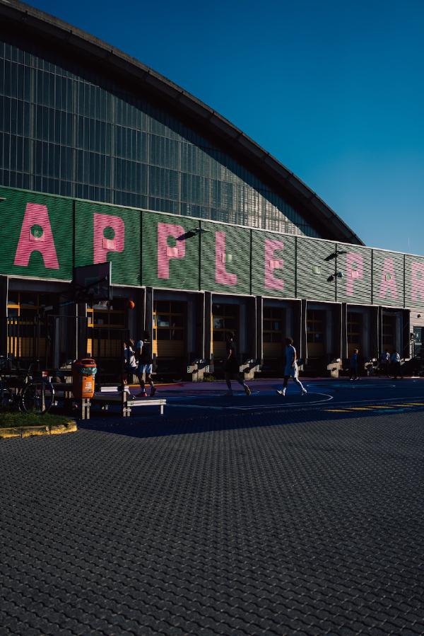 Pineapple Park late evening sun